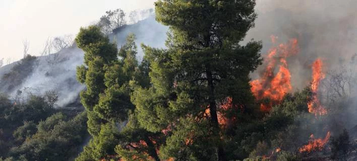 Συναγερμός στην Πυροσβεστική – Νέα δασική πυρκαγιά στην Ηλεία απειλεί τα χωριά Ανάληψη και Γεράκι